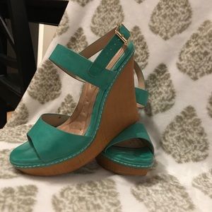 Teal wedges
